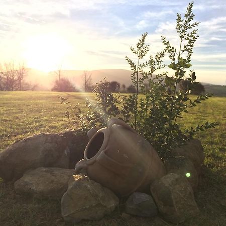 Agriturismo Fonte Di Braca Villa Campagnatico ภายนอก รูปภาพ